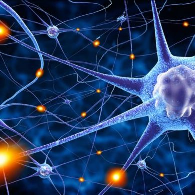 Basi neurobiologiche dell’epilessia