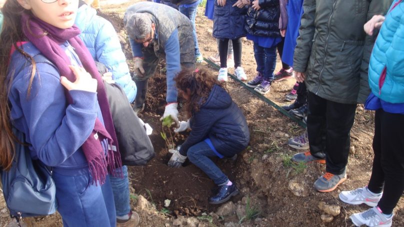 Nuovo ospedale di Ragusa, scolari piantano alberelli