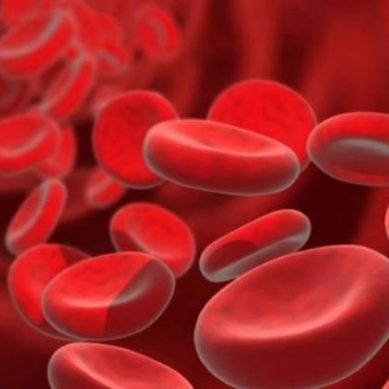 Un lentivirus per sconfiggere la Talassemia