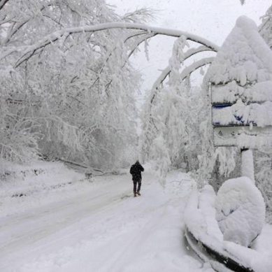 Gli anziani e il grande freddo