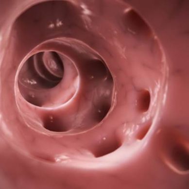 Gastro e colonscopie: una su quattro è inutile
