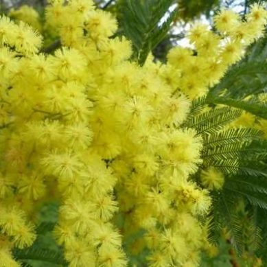 Festa della donna al Garibaldi “Un giorno non basta”