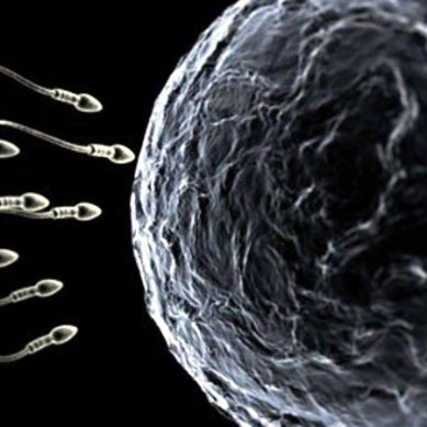 Maschi occidentali sempre meno fertili