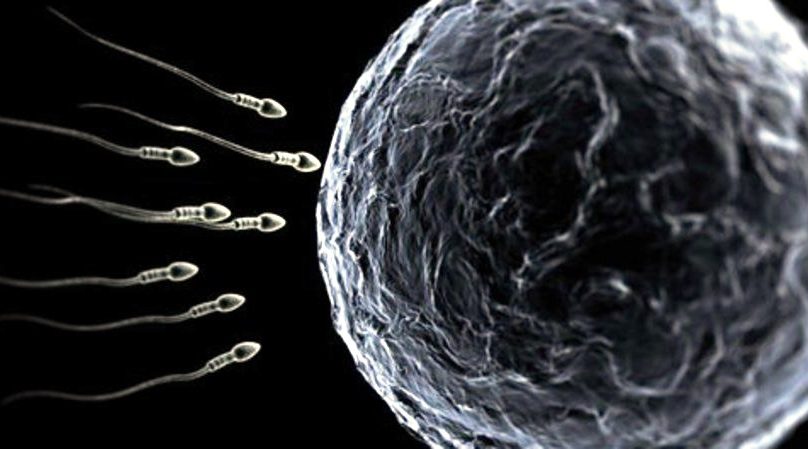 Maschi occidentali sempre meno fertili