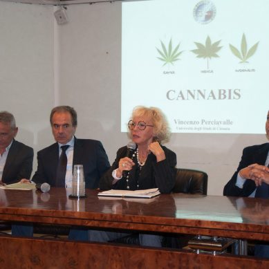 Effetti terapeutici della Cannabis