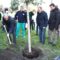 Festa nazionale dell’albero anche in ospedale