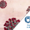 Sars-Cov-2, l’evoluzione continua del virus