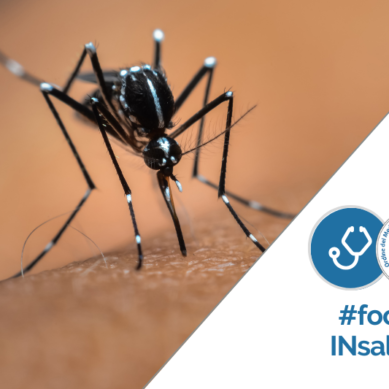Allarme zanzare invasive: come difendersi