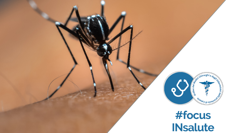 Allarme zanzare invasive: come difendersi