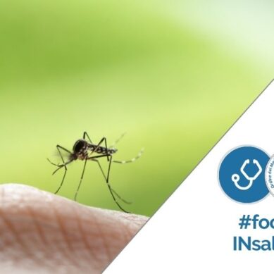 West Nile Fever: un caso (equino) anche nel Catanese