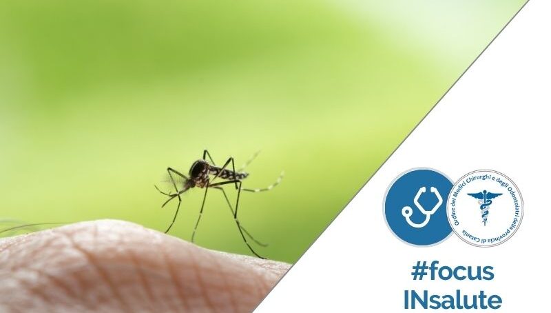 West Nile Fever: un caso (equino) anche nel Catanese