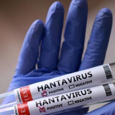 Infezioni da Hantavirus Andes (ANDV)