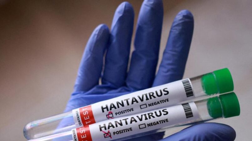 Infezioni da Hantavirus Andes (ANDV)